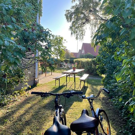 Hemmet Simrishamns Vandrarhem Och B&B Luaran gambar